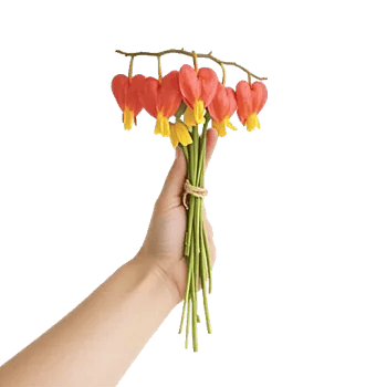 Blushing Rose Symphony