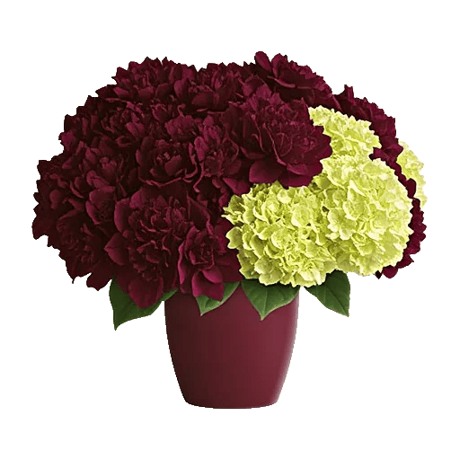 Crimson Blossom Harmony