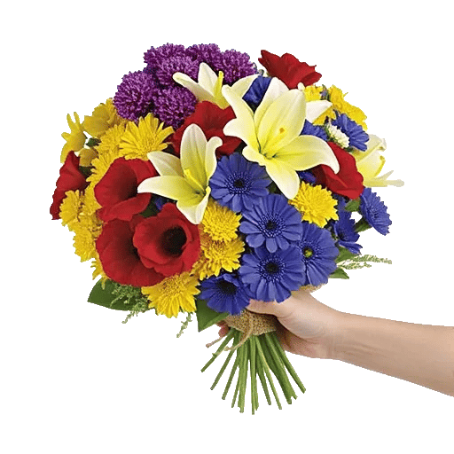 Blossom Harmony Display