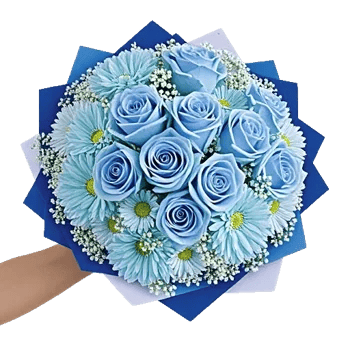 Elegant Blue Roses