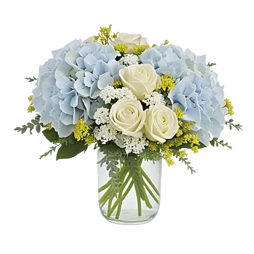 Serene Petal Harmony