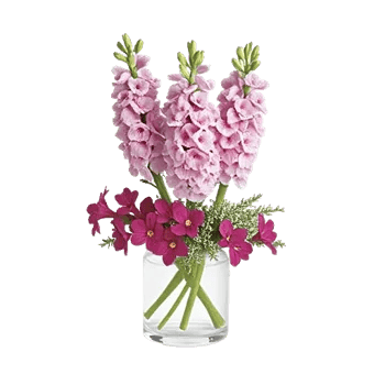 Lavender Bloom Grace