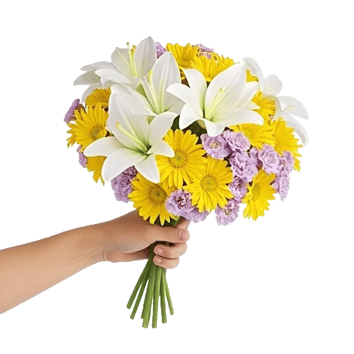 Blossom Harmony Display