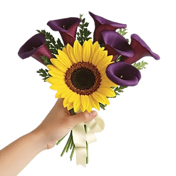 Radiant Bloom Cascade