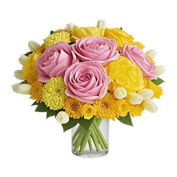 Petal Radiance Bliss