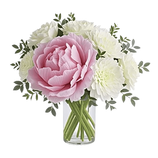 Petal Radiance Bliss