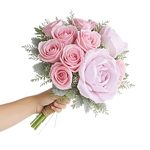 Pastel Pink Roses