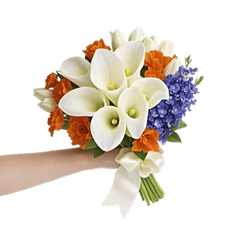 Elegant Calla Lilies