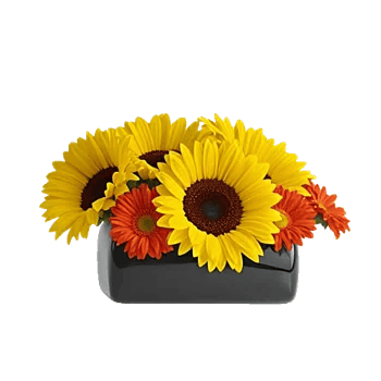 Amber Sunflower Glow