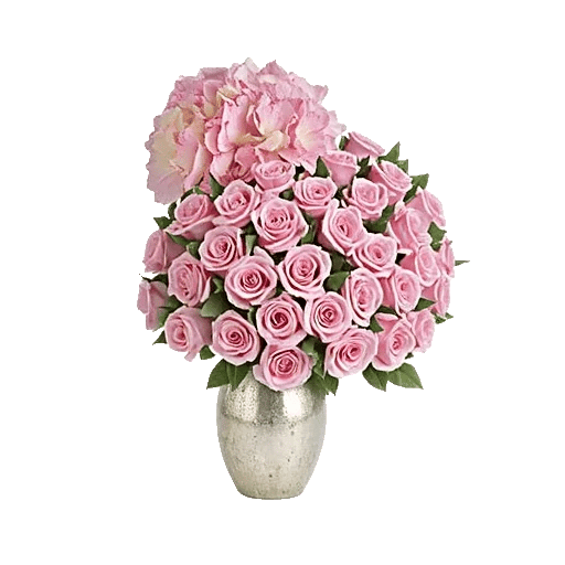 Ivory Blossom Radiance