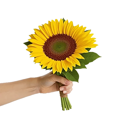 Golden Sunflower Bouquet