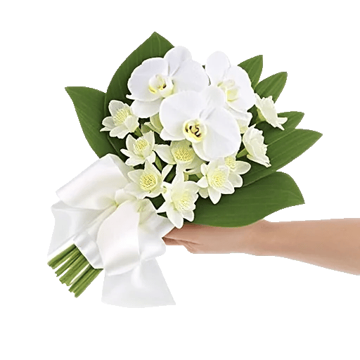 Modern White Orchids