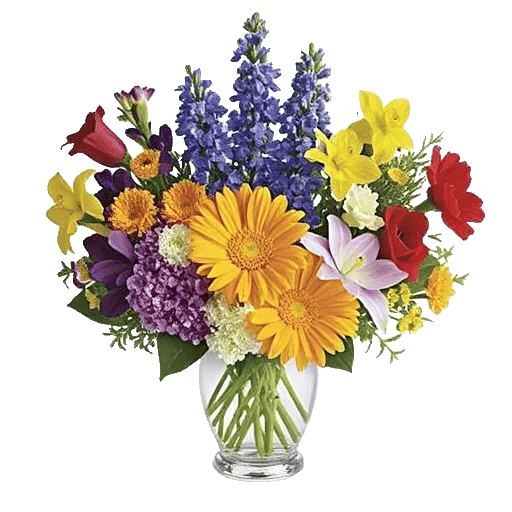 Petal Radiance Bliss