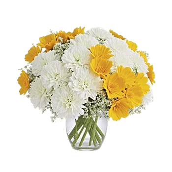 Delicate Petal Cascade