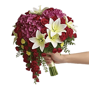 Delicate Petal Cascade