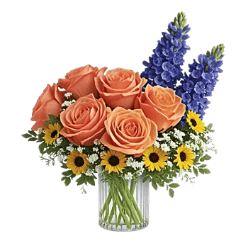 Petal Radiance Bliss