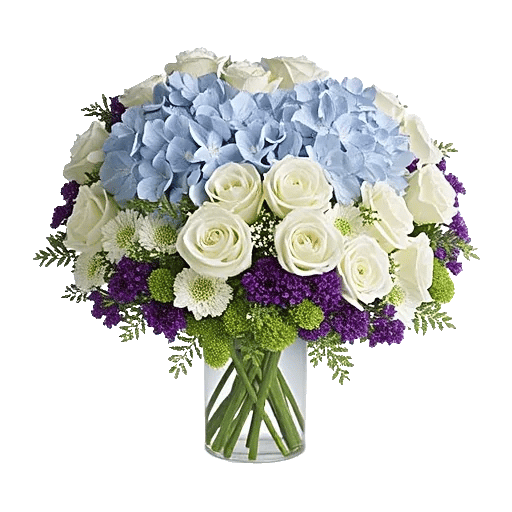 Ivory Blossom Radiance