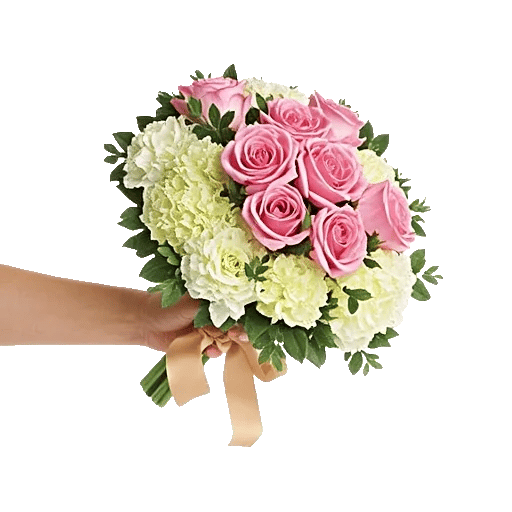 Blushing Rose Symphony