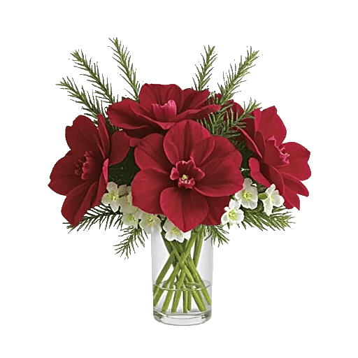 Crimson Blossom Harmony