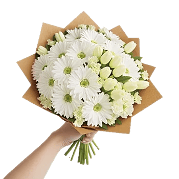 Blossom Harmony Display