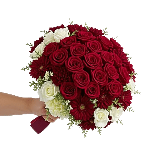 Blushing Rose Symphony