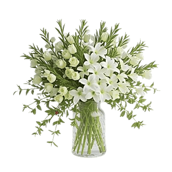 Ivory Blossom Radiance