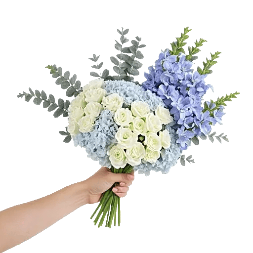 Sapphire Bloom Whisper