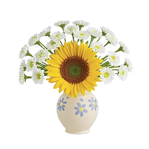 Radiant Bloom Cascade