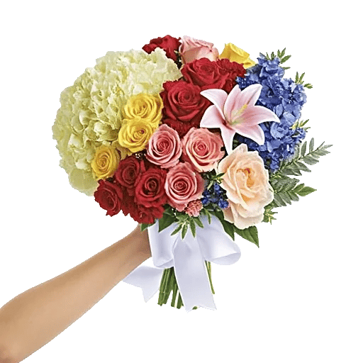 Serene Petal Harmony