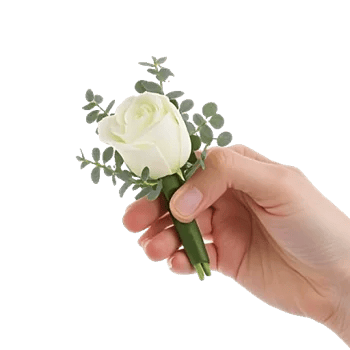 Minimalist White Orchids