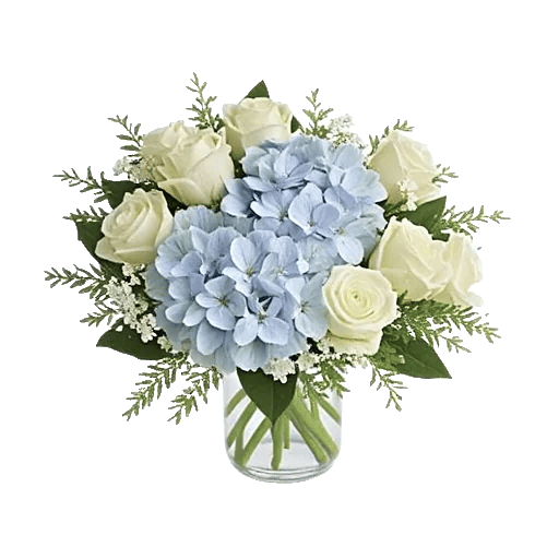 Serene Petal Harmony