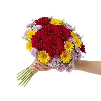 Petal Harmony Bliss
