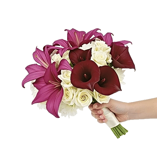 Elegant Calla Lilies