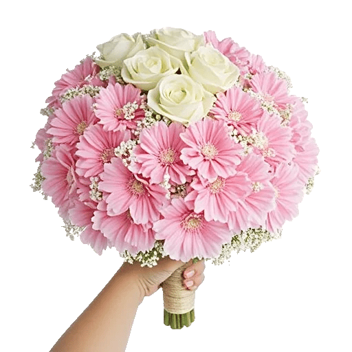 Pastel Pink Roses