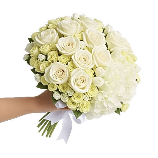 Serene Petal Harmony