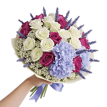 Serene Petal Harmony