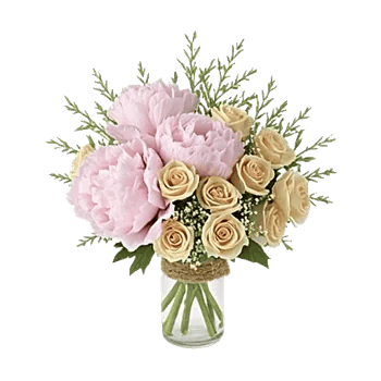 Petal Radiance Bliss