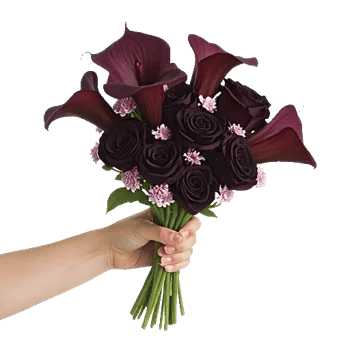 Elegant Calla Lilies