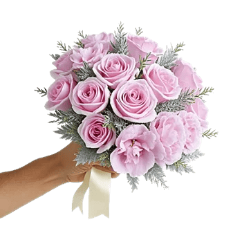 Pastel Pink Roses