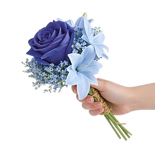 Elegant Blue Roses
