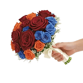 Blushing Rose Symphony