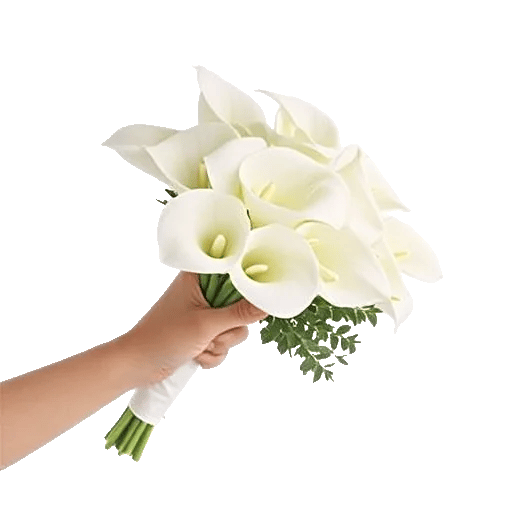 Elegant Calla Lilies