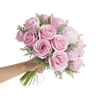 Pastel Pink Roses