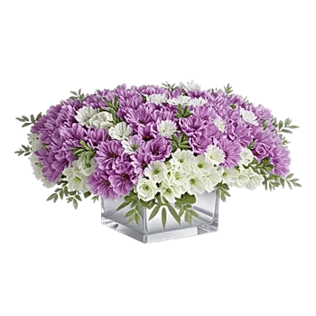 Graceful Lily Display