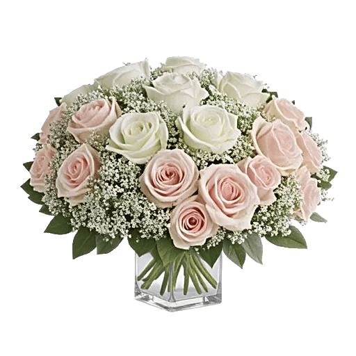 Ivory Blossom Radiance