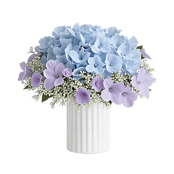 Serene Petal Harmony