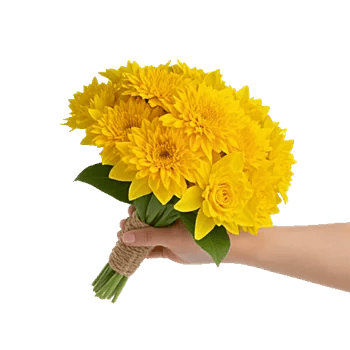 Golden Petal Harmony