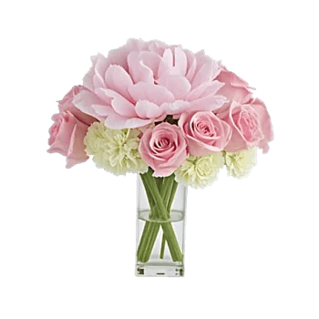 Delicate Petal Cascade