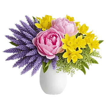 Ivory Blossom Radiance