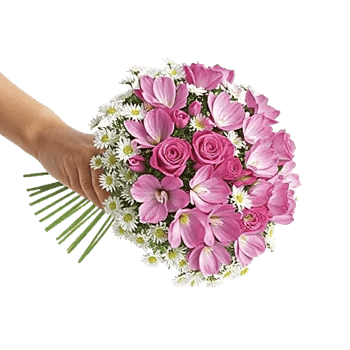 Delicate Petal Cascade